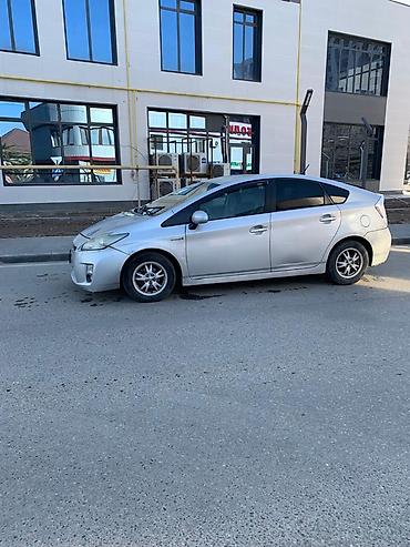 Toyota: Toyota Prius: 2011 г., 1.8 л, Вариатор, Гибрид, Хэтчбэк — 13