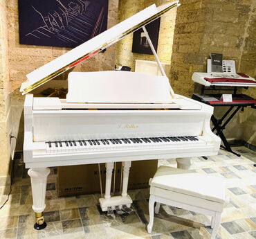 renessans palace ev satilir: S.Ritter royal və pianoları “Piano Renessans dövrünü” yaşayan uzaq