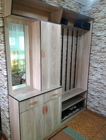 уйдун сыртын: Кире бериш үчүн шкаф, Колдонулган, Күзгүсү менен