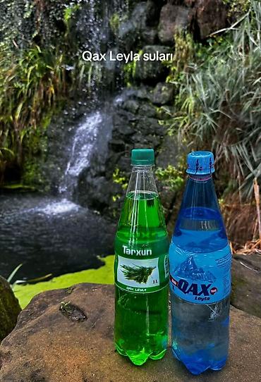 toyuq məhsulları: Məhsul: Qax Leyla suları və limonadları – 1L plastik butulka — 2