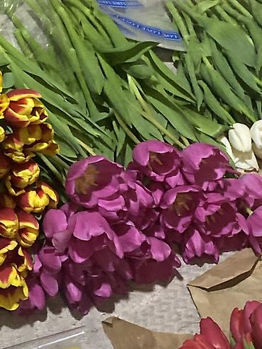 Букеты из живых цветов: Тюльпаны срезанные, упаковка по тюку в крафт-бумаге. - Палитра — 8