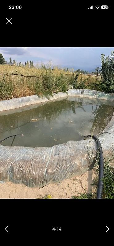 Теплицы: Тепличный комплекс каркасного типа - Арочные теплицы на металлическом — 4