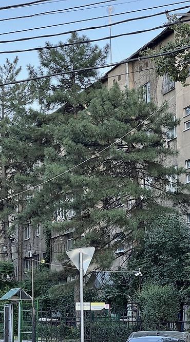 2 комнаты, 50 м², Золотой квадрат 105 серия, 4 этаж, Требуется ремонт at lalafo.kg 2 комнаты, 50 м², Золотой квадрат 105 серия, 4 этаж, Требуется ремонт