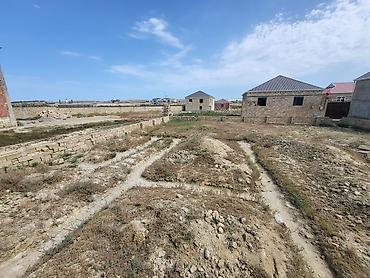 4 sot, Biznes üçün, Mülkiyyətçi, Kupça (Çıxarış)