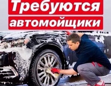 требуется мойщик: Требуется Автомойщик, Оплата Ежедневно, Процент от дохода, Без опыта, Официальное трудоустройство