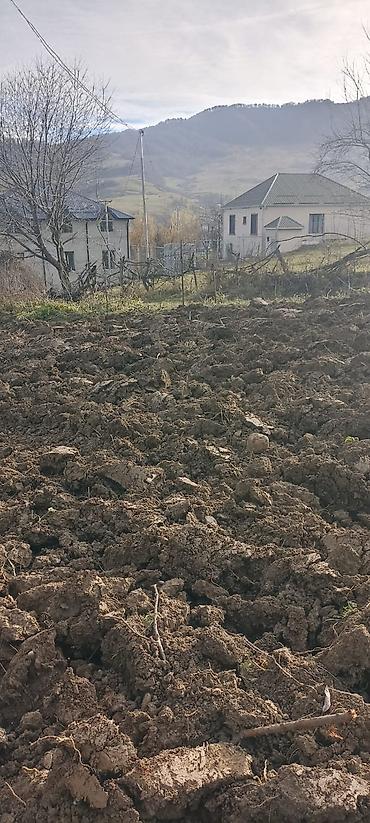 Torpaq sahələrinin satışı: Kənd təsərrüfatı — 2