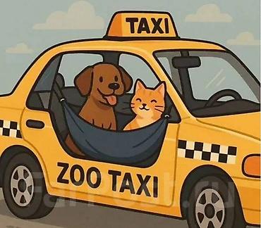 limuzin it: Легковое авто — 1