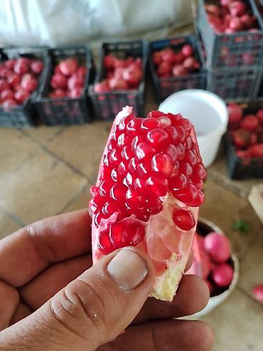 saf su: Bakıda market və bazarlarda satılan, günlərlə anbarlarda qalan — 3