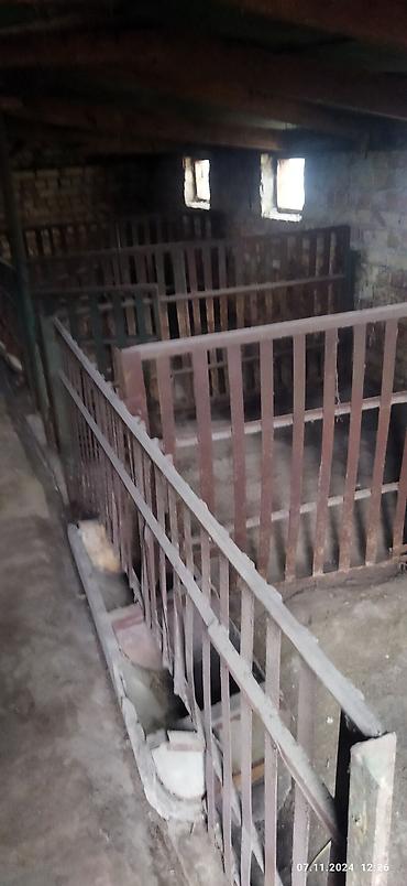 Продажа домов: Дом, 80 м², 4 комнаты, Собственник, Старый ремонт — 12