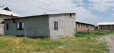 Продажа сельхоз предприятий: Ферма КРС, 10 соток, Не действующий, Без оборудования, Без коммуникаций, Электричество, Скважина — 6