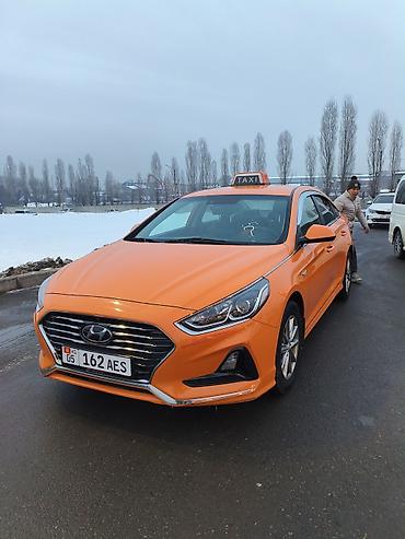 Hyundai: Hyundai Sonata: 2019 г., 2 л, Автомат, Газ, Седан — 1