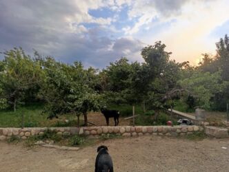 Продажа домов: Дом, 85 м², 3 комнаты — 10