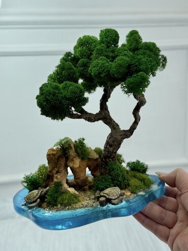Декоративные цветы: Бонсай ручной работы из натурального стабилизированного мха от 1500 — 36