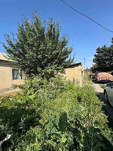 pro group: Продается дом с большим участком в 15 соток с.Шалта ( Сокулукский р-н — 4