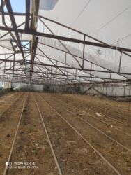 Baklar və çənlər: İstixana konstruksiyası və dam örtüyü - Metal karkaslı istixana