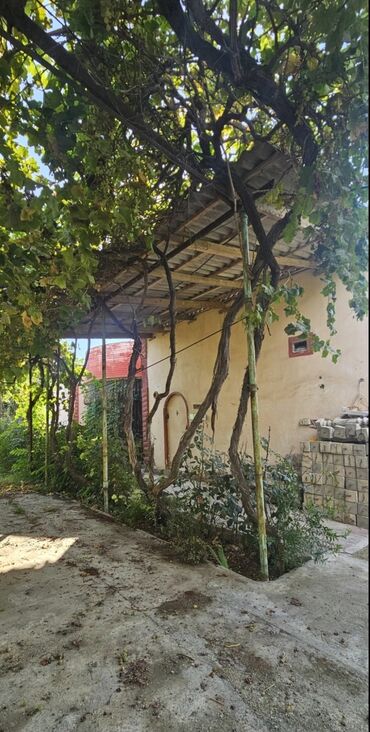 Həyət evləri və villaların satışı: 3 otaqlı, 1500 kv. m, Kredit yoxdur, Orta təmir — 7