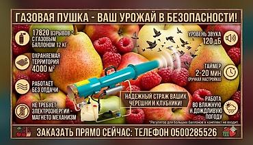 вишни: Защитные сетки от птиц — 1
