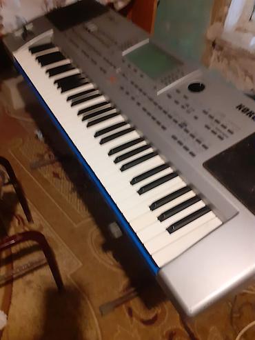 midi klavyatura: Korg PA80 satiıir tecili kim isdese eleqe saxlasin 0505118189 — 2
