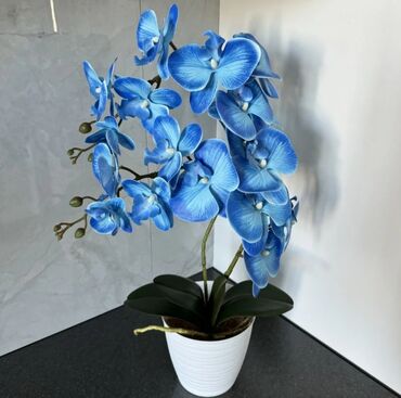 Декоративные цветы: Орхидея искусственная для декора в керамическом горшке Орхидея — 19