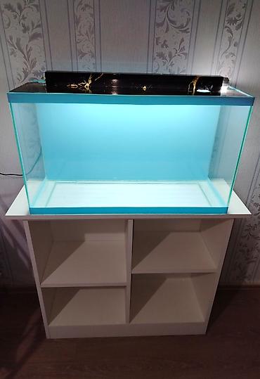 Akvariumlar: Dördbucaq akvarium, Boş, 70 l — 4