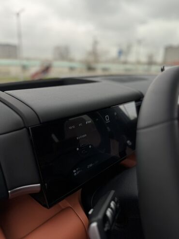 BYD: BYD : 2025 г., 1.5 л, Автомат, Гибрид, Внедорожник — 13