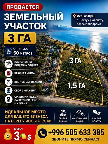 балыкчы пляж: 300 соток, Для бизнеса, Красная книга — 1
