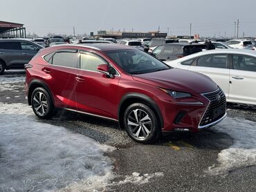 лексус 300 бишкек цена: Lexus NX: 2018 г., 2 л, Бензин, Кроссовер