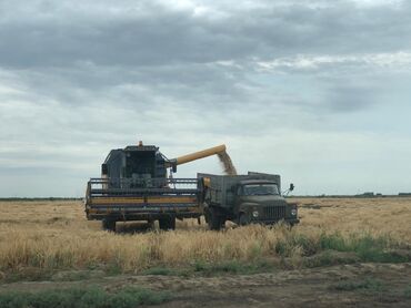 Torpaq sahələrinin satışı: 40000 sot, Kənd təsərrüfatı, Mülkiyyətçi, Müqavilə — 8