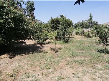 Torpaq sahələrinin satışı: 8 sot, Tikinti, Bələdiyyə — 2