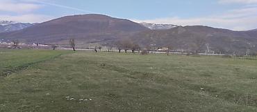 Torpaq sahələrinin satışı: Kənd təsərrüfatı — 14