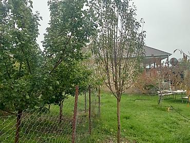 Həyət evləri və villaların satışı: 3 otaqlı, 95 kv. m, Kredit yoxdur, Yeni təmirli — 8