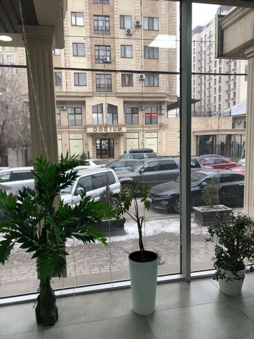 Продажа квартир: Сдаю Офис, 800 м², 1 линия, С отдельным входом, С системой безопасности