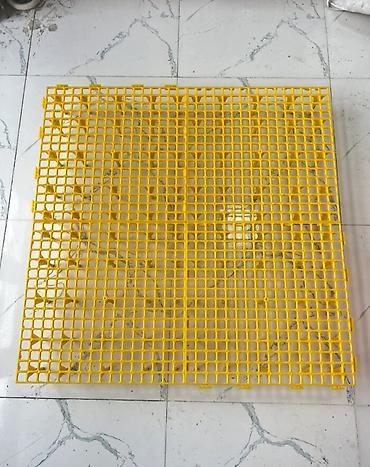 hasar setkalar: Toyuq altı səbət 50*50 Toyuq altı üçün hazırlanmış bu plastik setka — 4