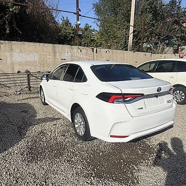 Toyota: Toyota Corolla: 2020 г., 1.4 л, Автомат, Гибрид, Седан — 8