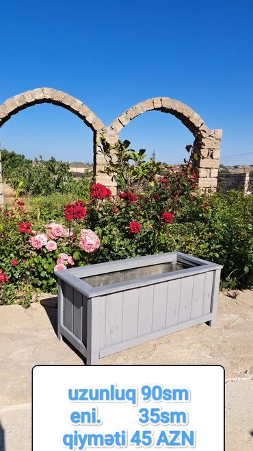 bitki toxumlari: Salam 40x40 35 manat 35x90 45 manat 40x60 50 manat Sifarişlə hazrlanır