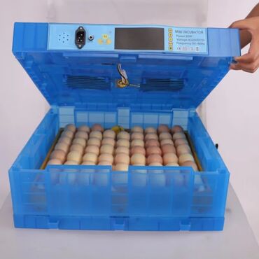 inkubator avadanlıqları satışı: Inkubator inkubatorlarin birinci əl satişi unversal inkubator