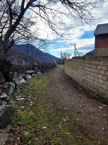Torpaq sahələrinin satışı: 9 sot, Tikinti, Mülkiyyətçi, Kupça (Çıxarış) — 15