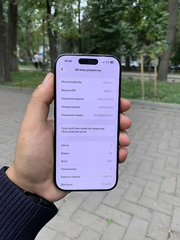 чехл: IPhone 16 Pro, Б/у, 256 ГБ, Черный, Защитное стекло, Чехол, 89 % — 4
