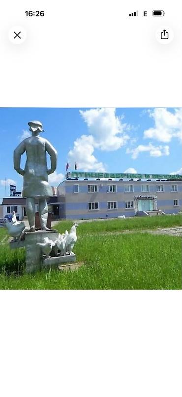 Требуются мужчины на птицефабрику❗️❗️❗️ ✅Производство находится в