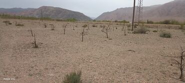 Продажа участков: 4 соток, Красная книга — 5