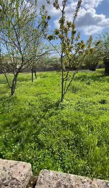 vendam: 10 sot, Kupça (Çıxarış) — 3