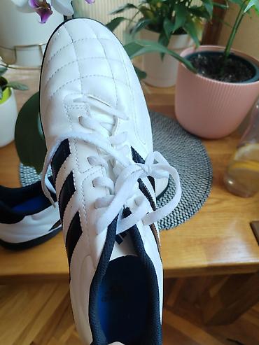kopacke cene: Adidas fudbalske patike za travnate/veštačke podloge (TF, “turf”) - — 2