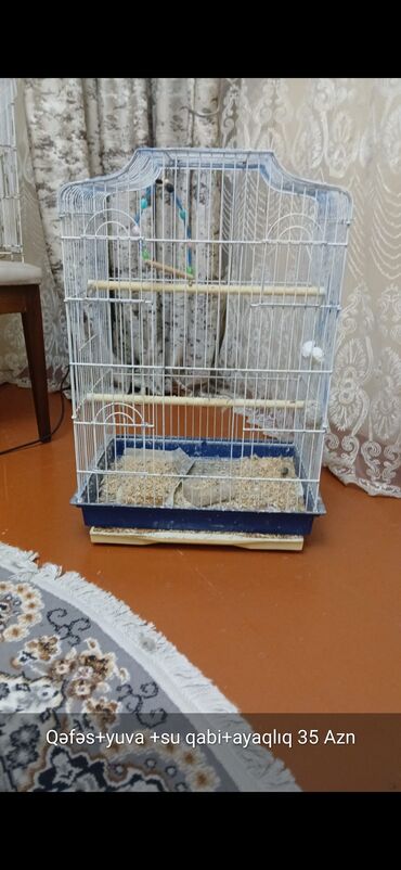 çardaq quşun yuvası: Quş qəfəsləri və aksesuarları - Dəst 1: Qəfəs + yuva + su qabı +