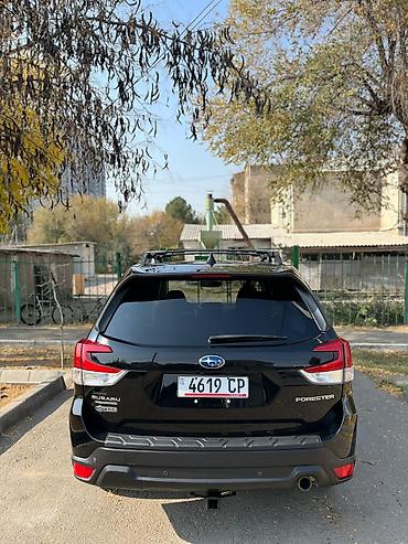 Subaru: Subaru Forester: 2019 г., 2.5 л, Вариатор, Бензин, Кроссовер — 3