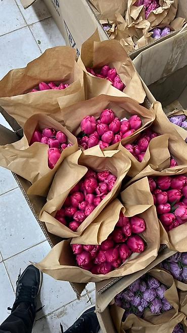 Букеты из живых цветов: Тюльпаны в букете-миксе - Срезанные тюльпаны в крафт-упаковке — 9