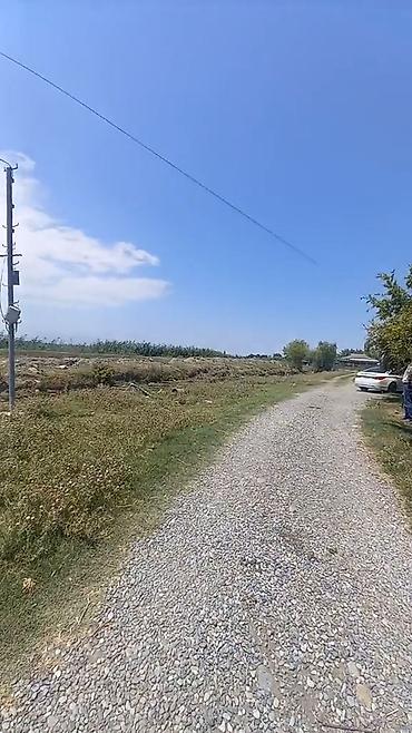 blue city ev satilir: 4 otaqlı, 3000 kv. m, Orta təmir — 10