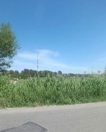 дом участок в селе воронцовке таш добо: 157 соток, Айыл чарба үчүн, Кызыл китеп, Техпаспорт, Сатып алуу-сатуу келишими