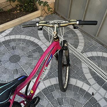 start velosiped 29: Qadın/yeniyetmə velosipedi – TRINX - Rəng: çəhrayı, dekorativ mavi-ağ — 1