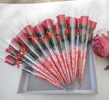 Ostali kućni dekor: Veštačko cveće, Novo — 8