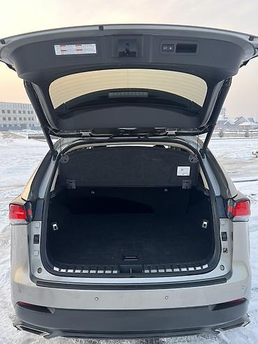 Lexus: Lexus NX: 2020 г., 2 л, Автомат, Бензин, Кроссовер — 9